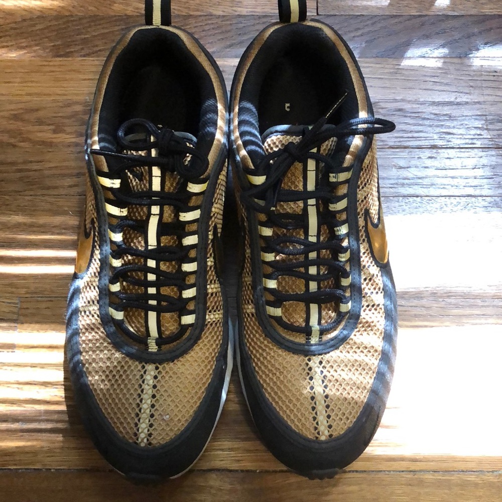 Nike shoe